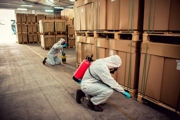 Trusted Palmer Ranch, FL Pest Control Experts