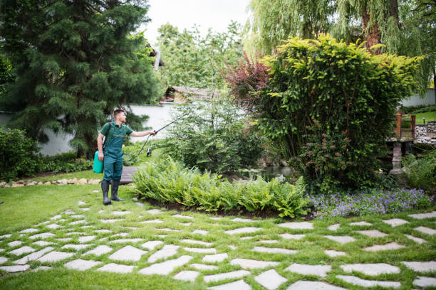 Best Wasp Removal Services  in Palmer Ranch, FL