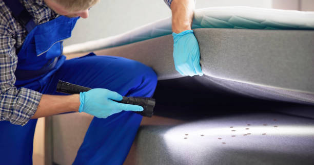 Best Termite Control Services  in Palmer Ranch, FL