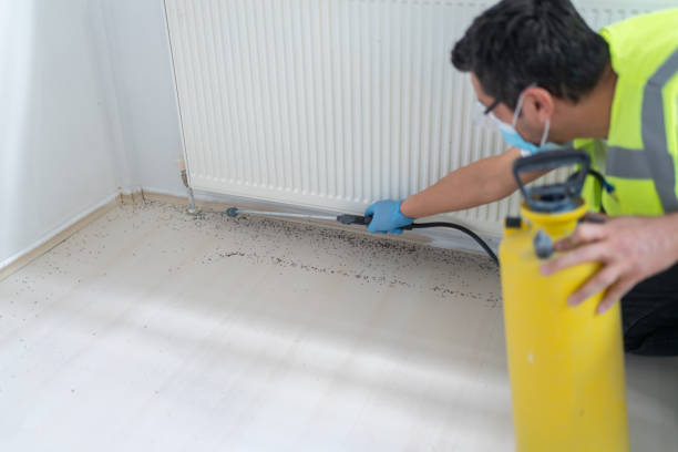 Best Best Pest Control Companies  in Palmer Ranch, FL