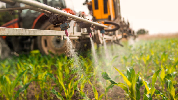 Best Mosquito Control Services  in Palmer Ranch, FL